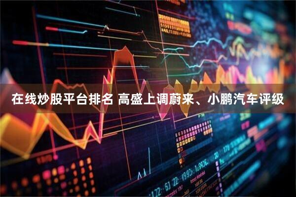 在线炒股平台排名 高盛上调蔚来、小鹏汽车评级