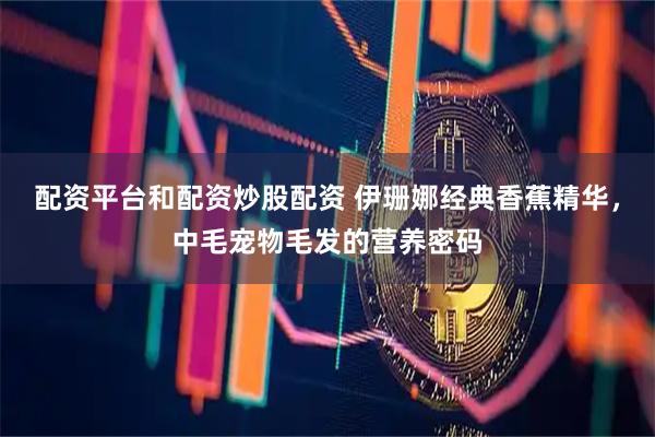 配资平台和配资炒股配资 伊珊娜经典香蕉精华，中毛宠物毛发的营养密码