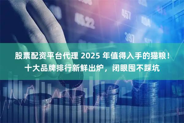 股票配资平台代理 2025 年值得入手的猫粮！十大品牌排行新鲜出炉，闭眼囤不踩坑