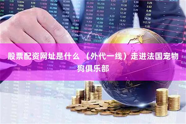 股票配资网址是什么 （外代一线）走进法国宠物狗俱乐部